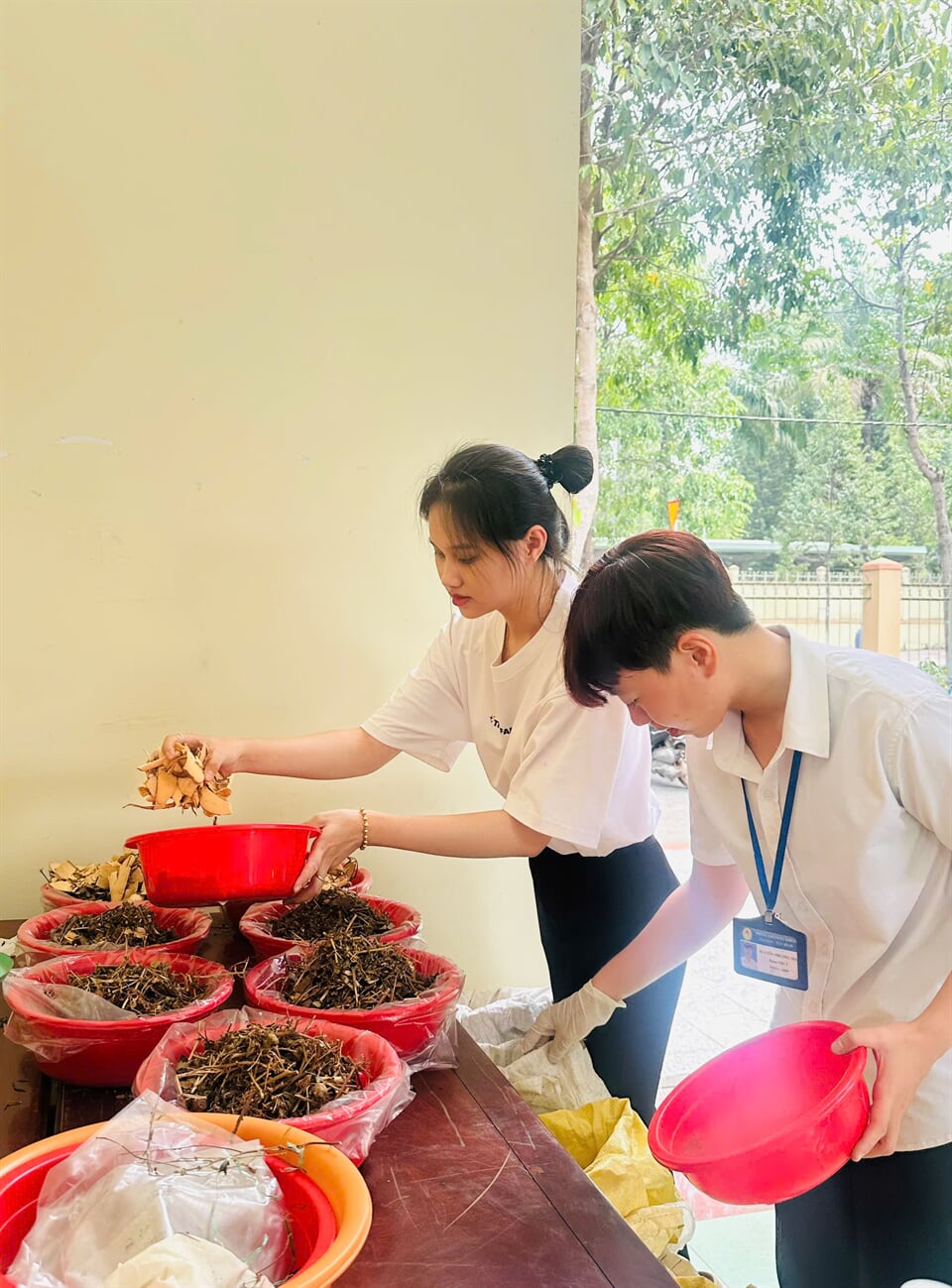 z648460026660128865c2d9dd161648e2b41b28d99b3bc